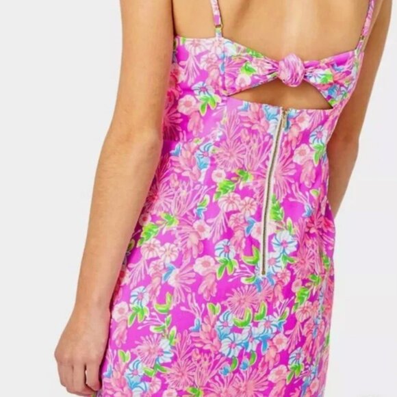 Lilly Pulitzer Shelli stretch dress - size 4 - Picture 3 of 7